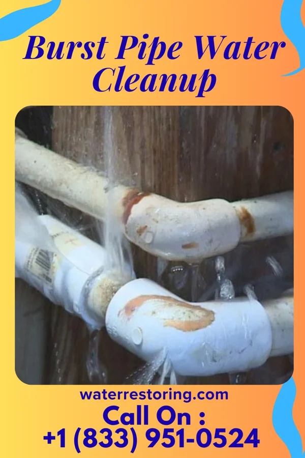 Burst Pipe Water Cleanup in Quantico Base, VA