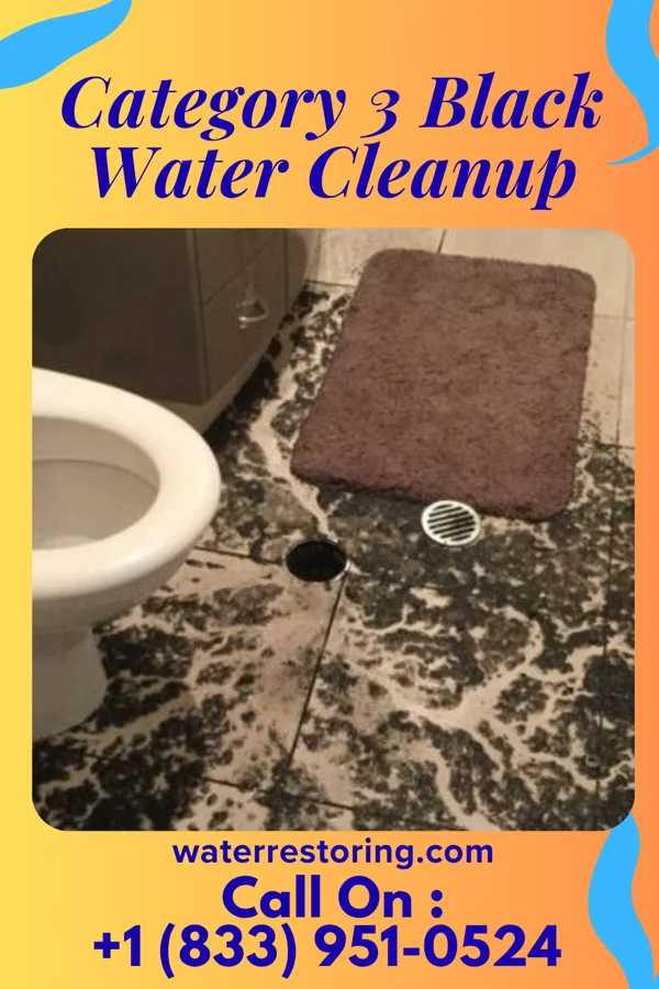 Category 3 Black Water Cleanup in Quantico Base, VA