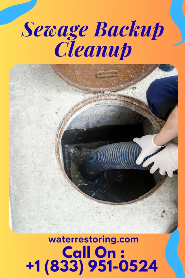 Sewage Backup Cleanup in Quantico Base, VA