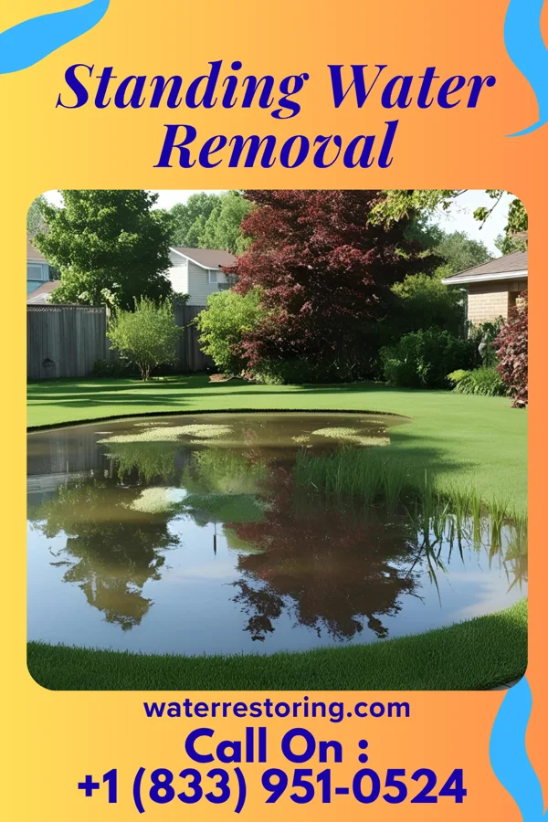 Standing Water Removal in Quantico Base, VA